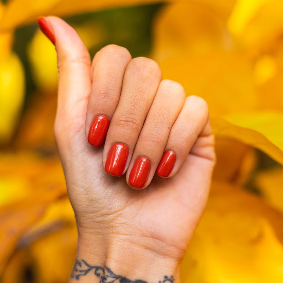 Nail Trends 2025: Styles You’ll Love at Apple Nails